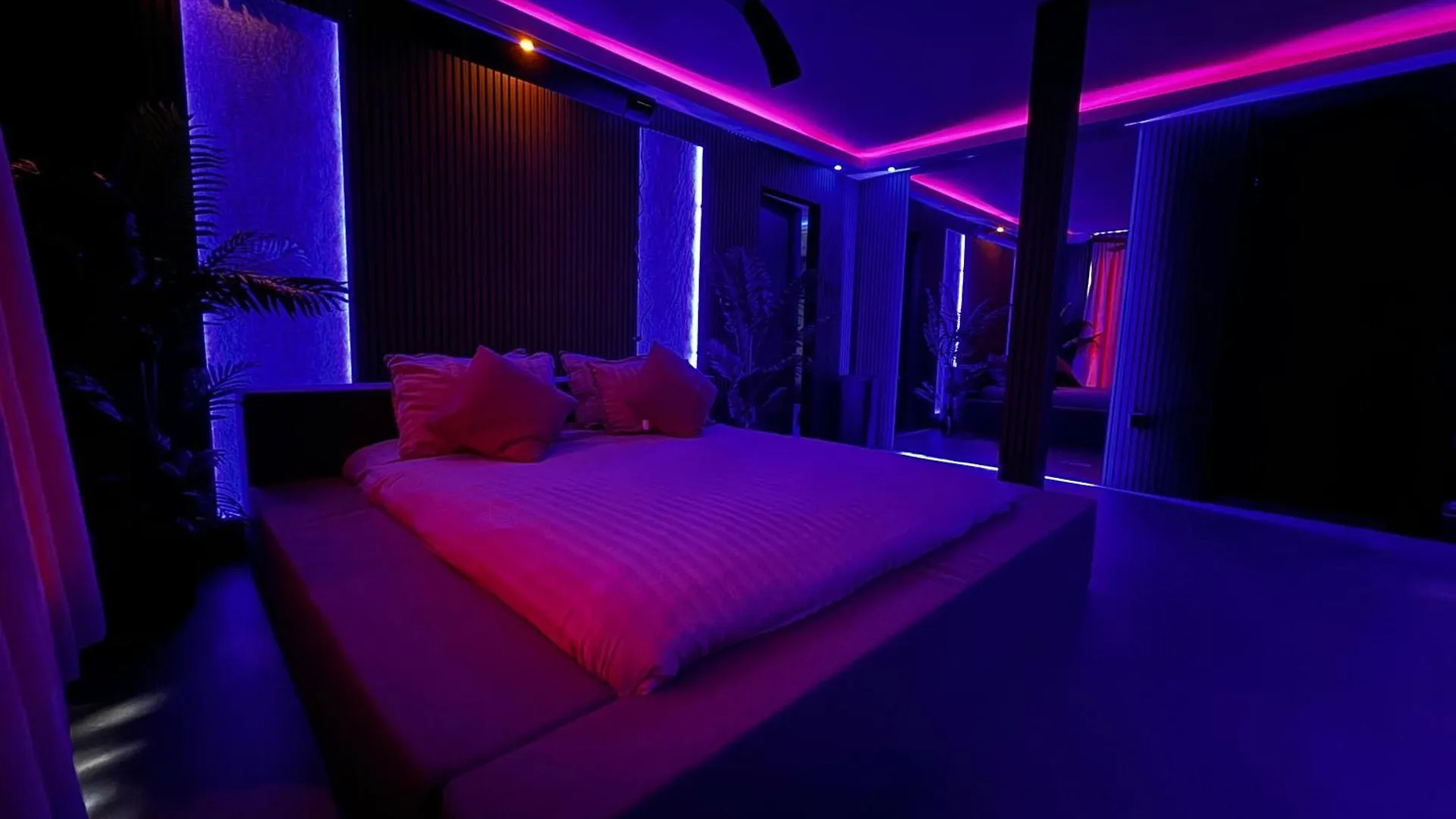 Lejlighed Spartementen By Pure-Zen Rotterdam Holland