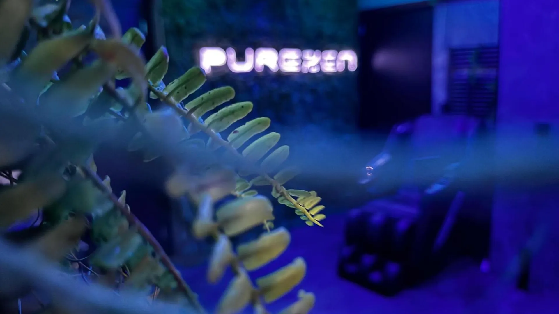 Spartementen By Pure-Zen Rotterdam Niederlande